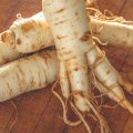 The Hidden Dangers of American Ginseng and Medications