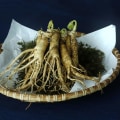 The Power of Ginseng: Exploring the Health Benefits of American and Korean Red Ginseng