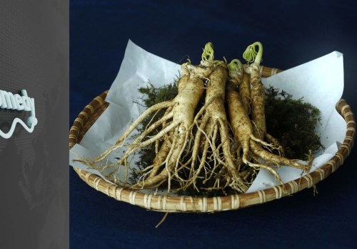 The Power of Ginseng: Exploring the Health Benefits of American and Korean Red Ginseng