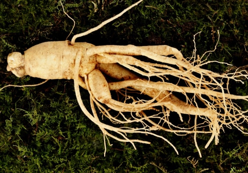 The Best Time to Take Ginseng: Morning or Night? My Expert Opinion